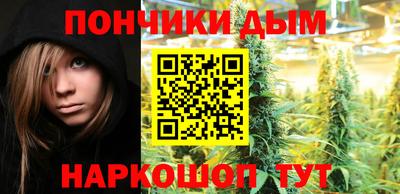 гашик Кулебаки
