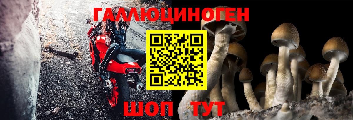 Уссурийск  Псилоцибиновые грибы ЛСД  Вход с VPN 